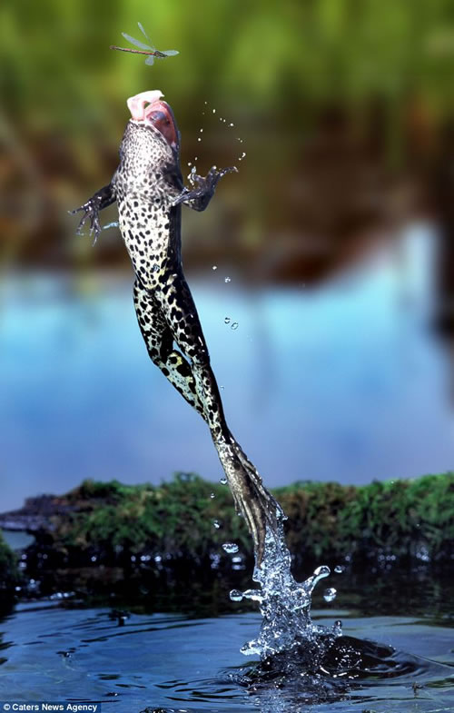 ���徵ͷ�µġ�������ʳ��˲�䡱��ͼ��