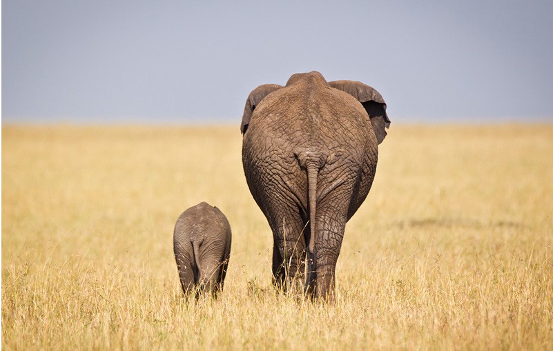 ��֪����ô��Ұ��������д�漯�𣿣�ͼ��