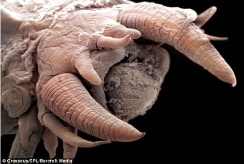 ����ˮ�µĿ��¹��� �ֲ��ĺ��۳棨ͼ��