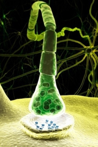 ��̾��ҽѧ3D������ͼ ��������ͼ