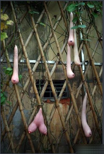 ��������Խ�����������𣿣���ͼ��