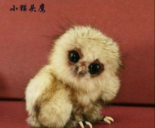 ����ոճ���ʱ������� ������𣿣�ͼ��