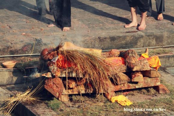 �Ჴ�����˿ֲ��Ļ��ᡪ��������