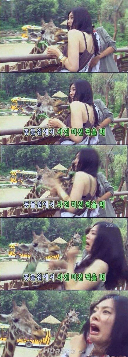 ���㲻���� ����Ц���˰���