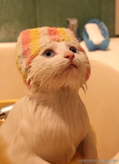 ����Щ���������˱��� ��Ц��ͼ