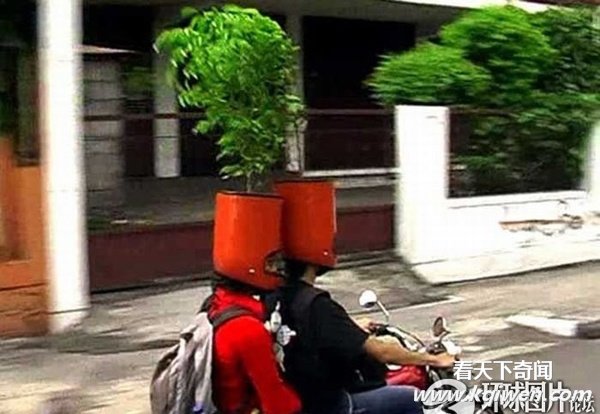 ץ����������Ŀ��Ÿ��˲�� ���˾�ϲ����(��ͼ)