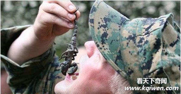 ������������Ы���������� ��Ů���ε�(��ͼ)